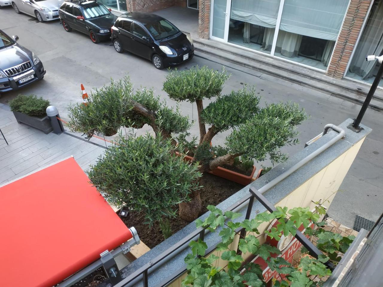 Hotel Lions Tbilisi Bagian luar foto